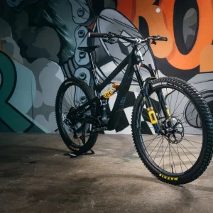 Bici